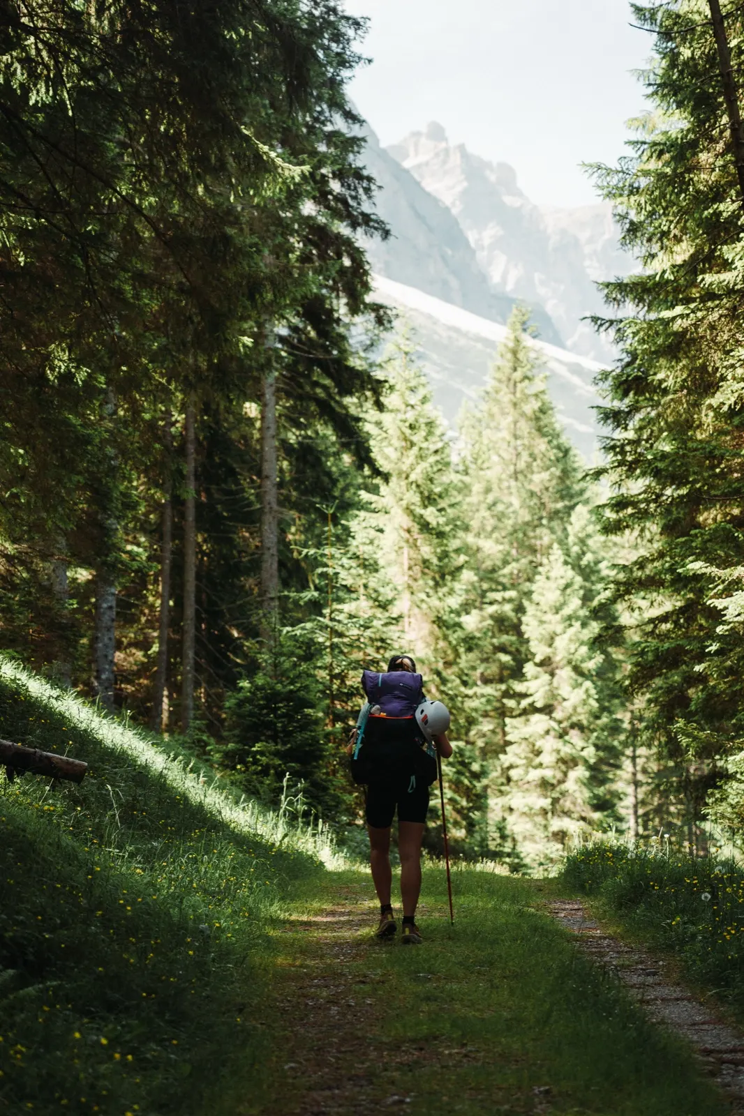 Hiker walking along a forest track