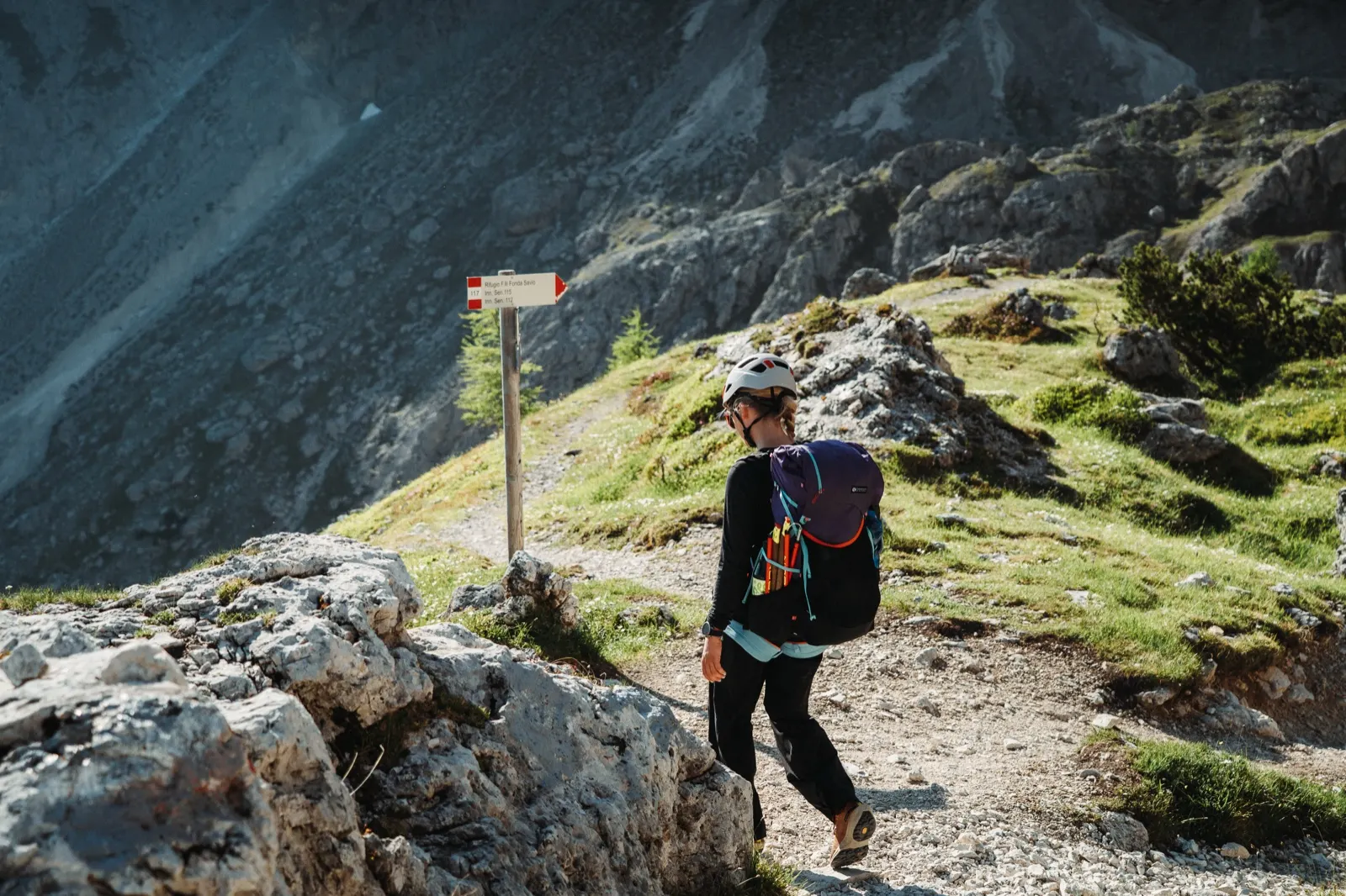 Mountain path with a touch of greenery