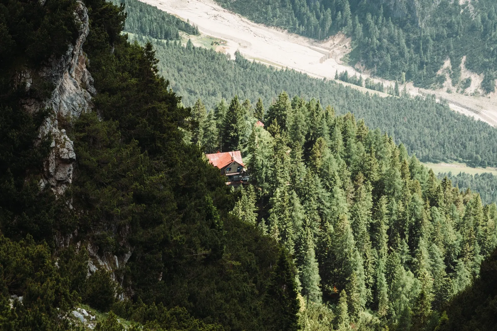 A mountain hut hidden among trees