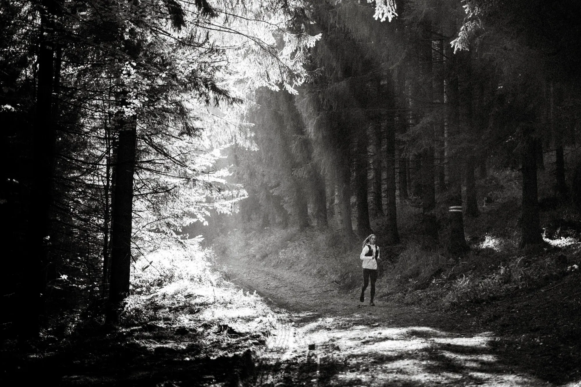 Black-and-white photo of a small runner on a forest trail lit by shafts of light between tall conifers