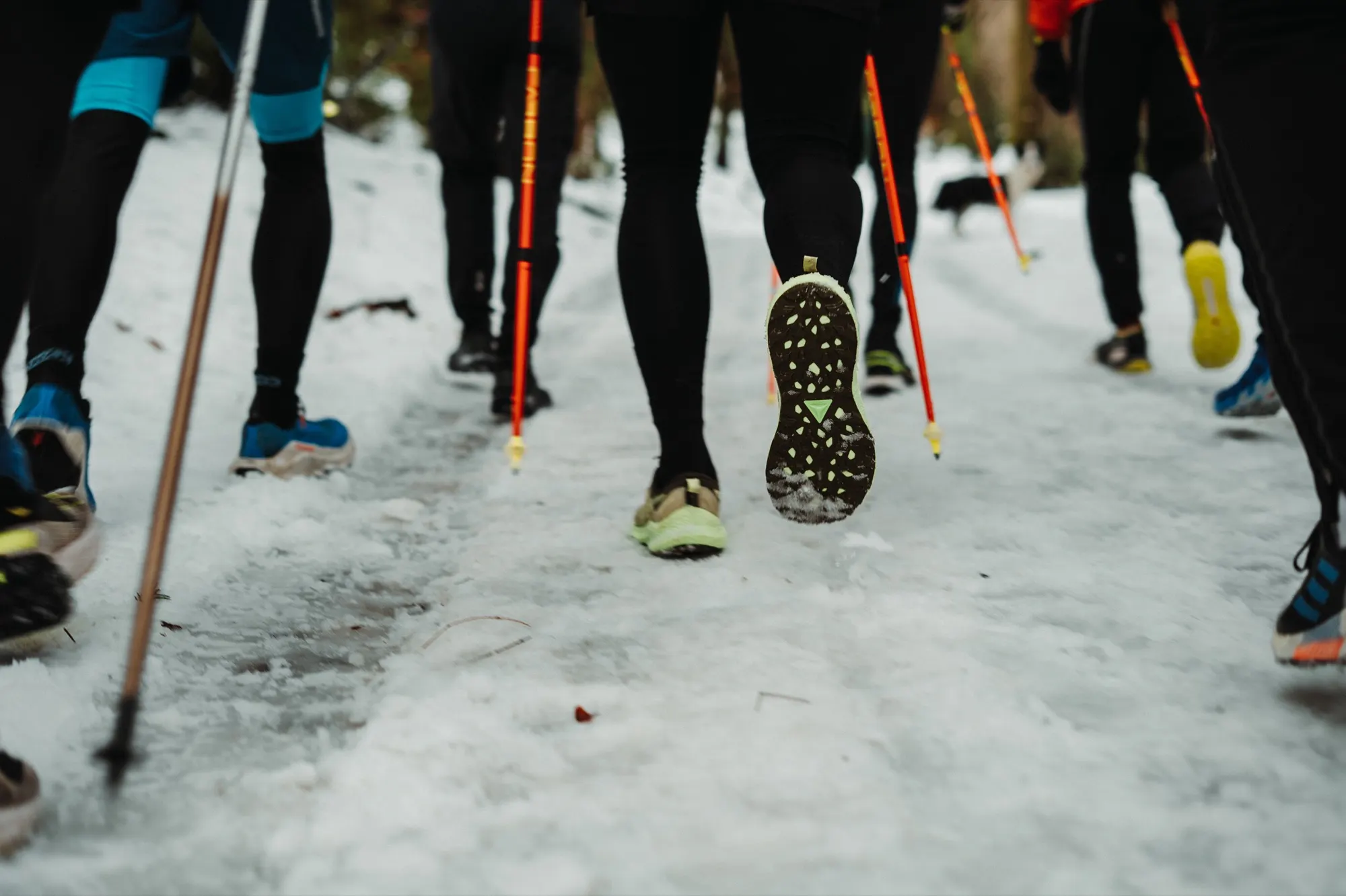 Edgar × Dynafit × LHUT Community Run – únor 2025 — fotka 17