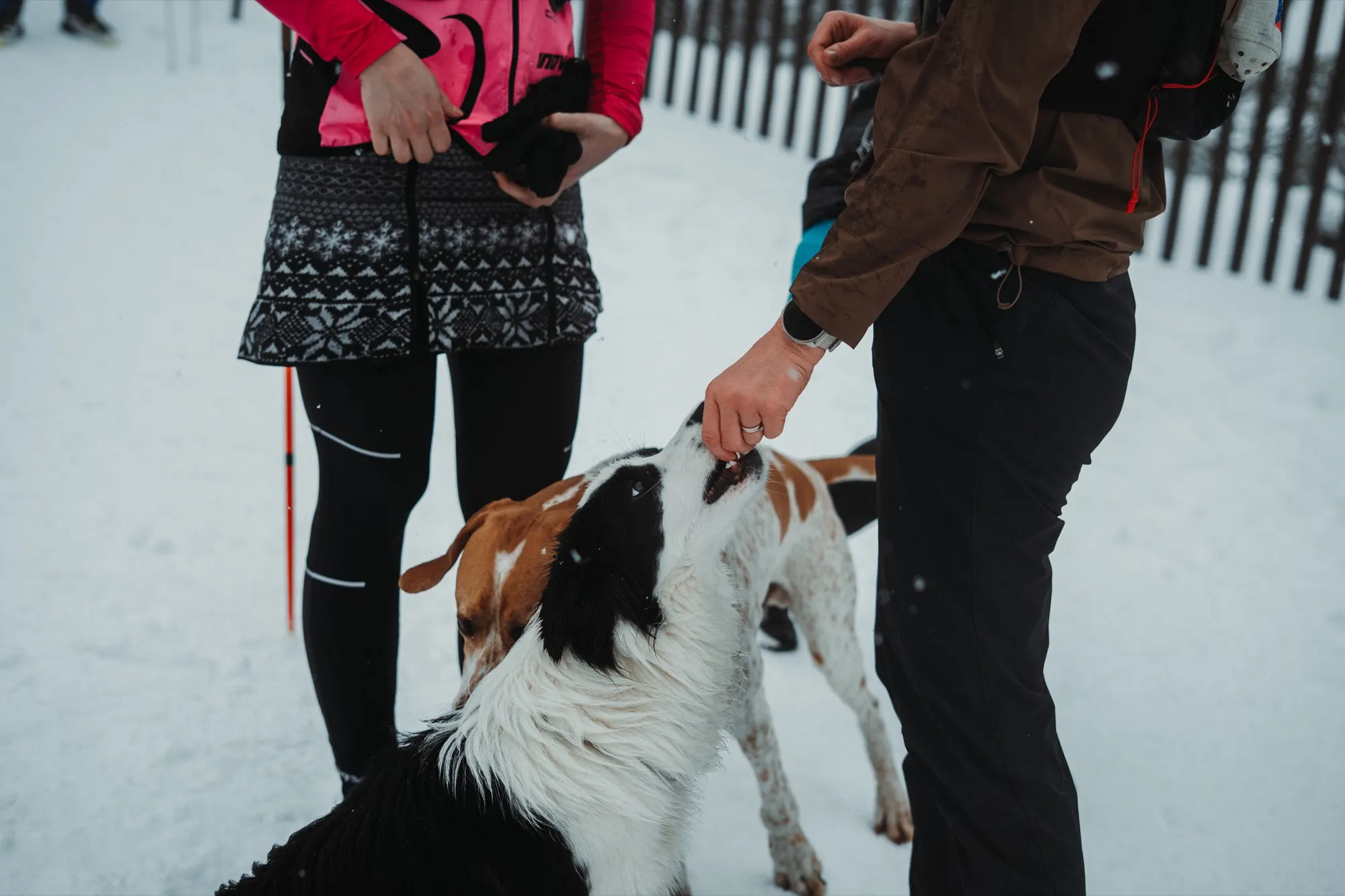 Edgar × Dynafit × LHUT Community Run – únor 2025 — fotka 27