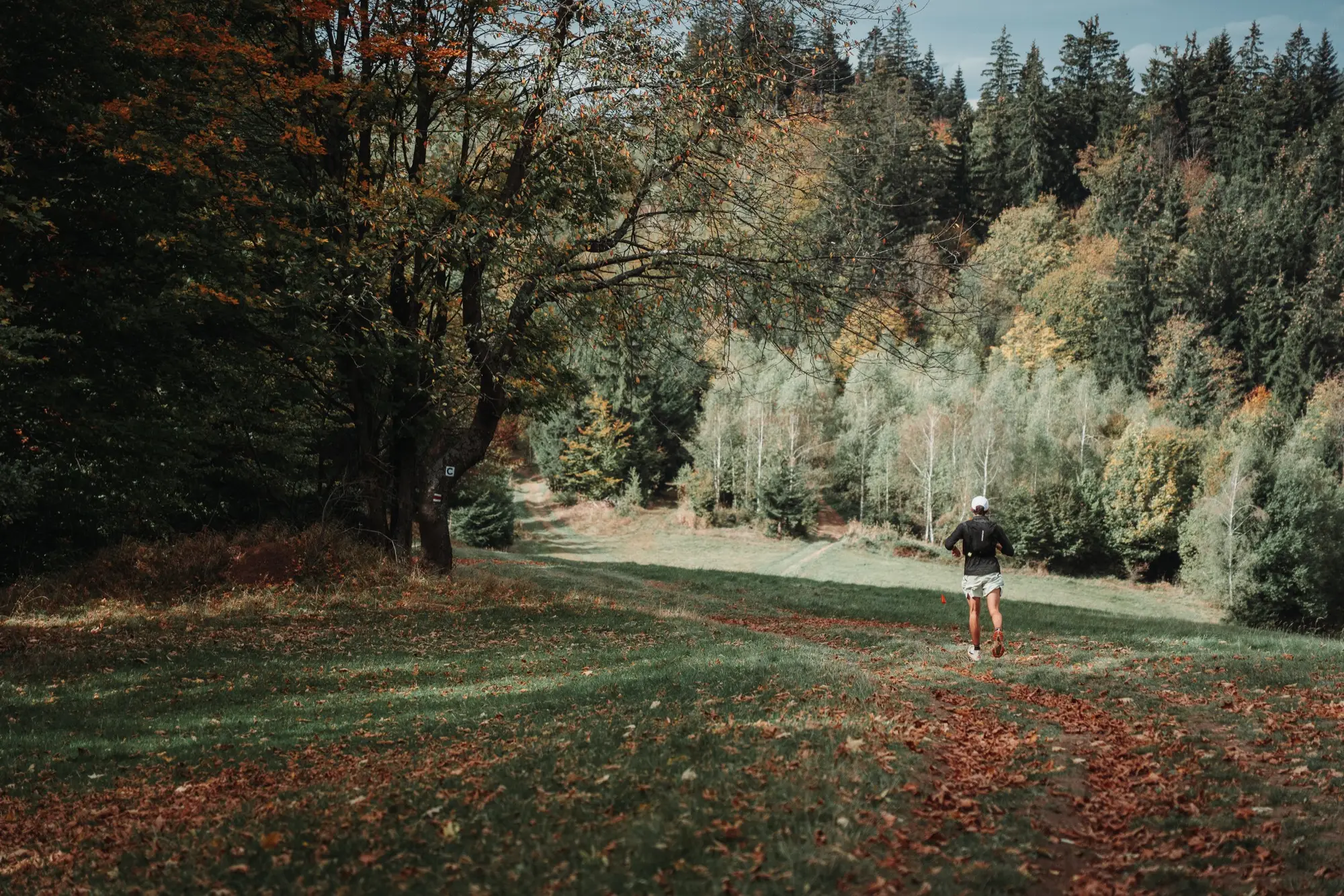 Runner crossing a forest meadow among autumn trees