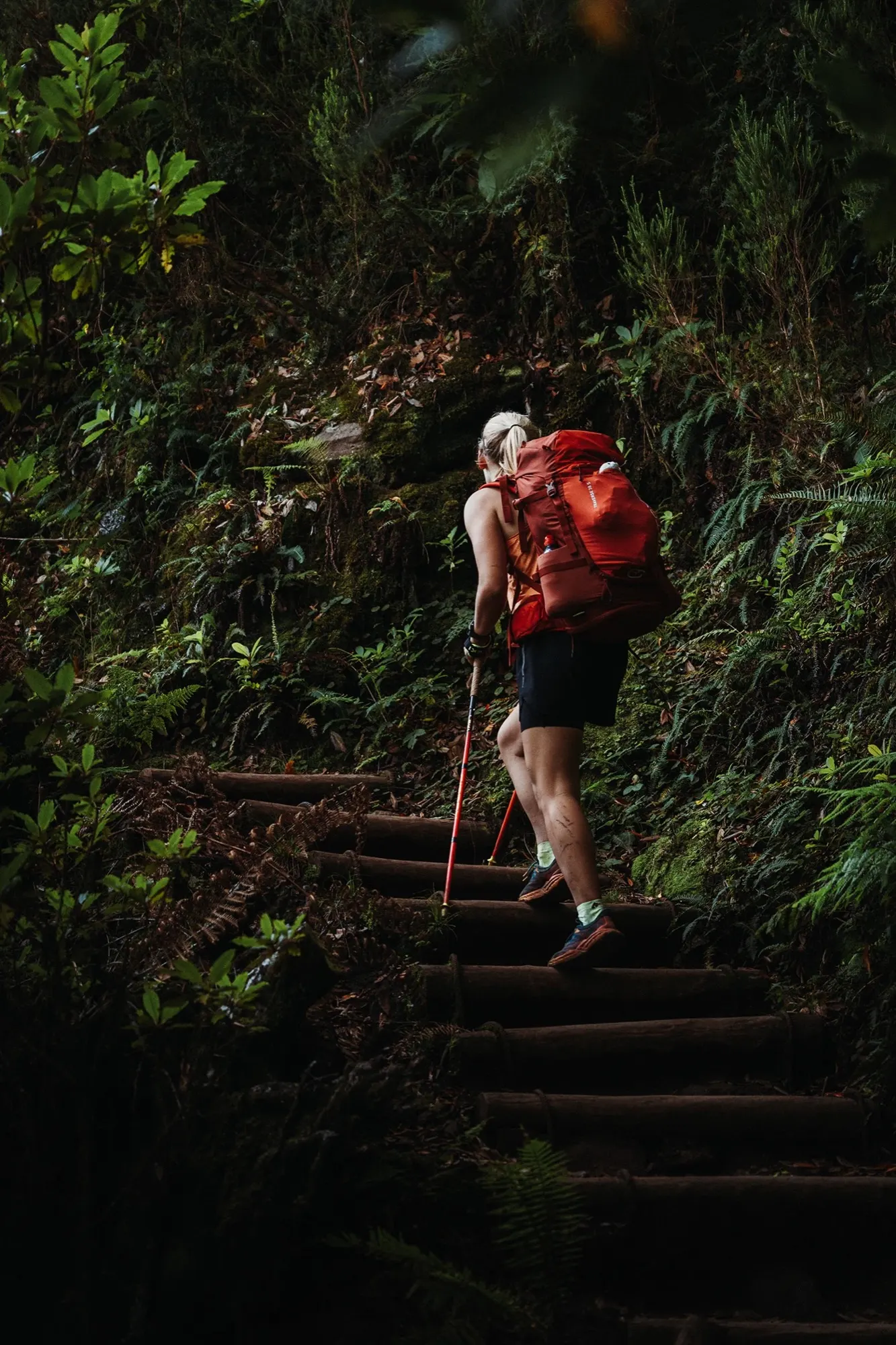 Ortovox Traverse S, 38 l — fotka 8