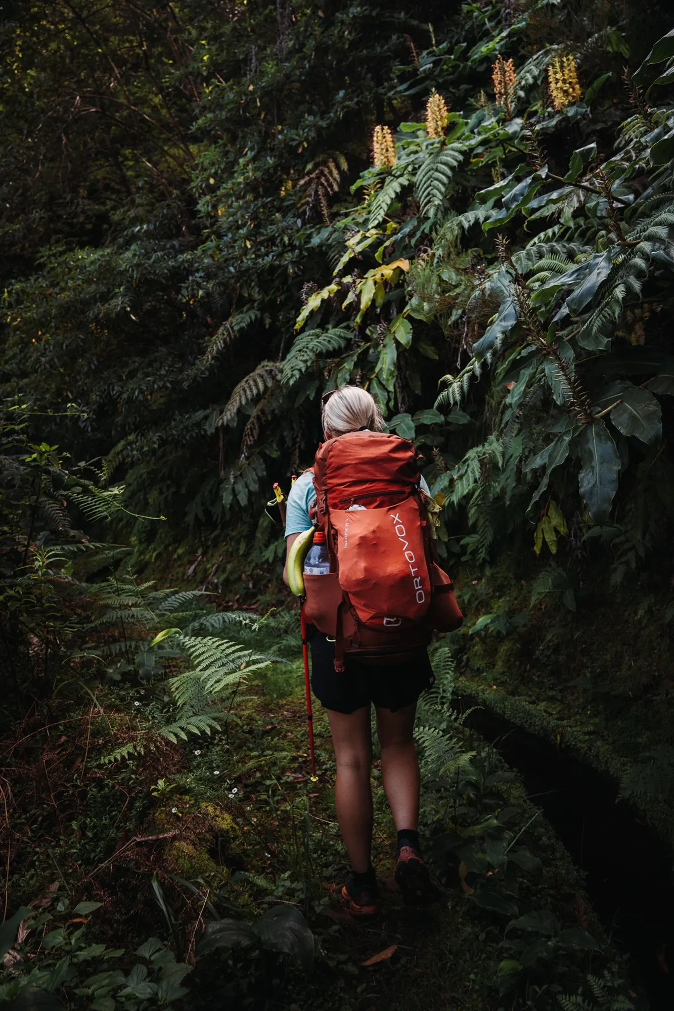 Ortovox Traverse S, 38 l — fotka 13