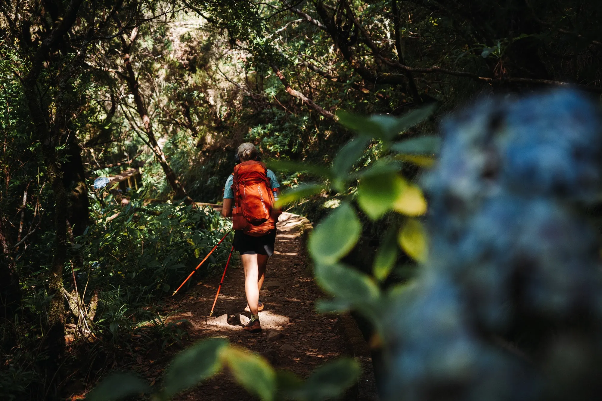 Ortovox Traverse S, 38 l — fotka 20
